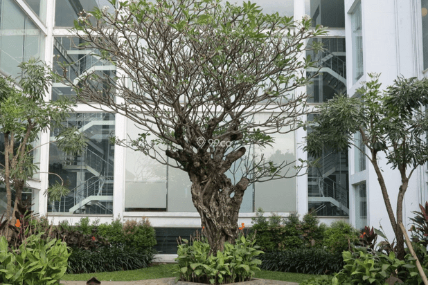 Graha Tirtadi Antasari Graha Tirtadi Antasari
