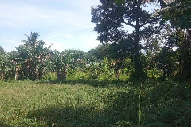 DIJUAL TANAH BOGOR TAJURHALANG SANGAT MURAH JUAL CEPAT DIJUAL TANAH BOGOR TAJURHALANG SANGAT MURAH JUAL CEPAT