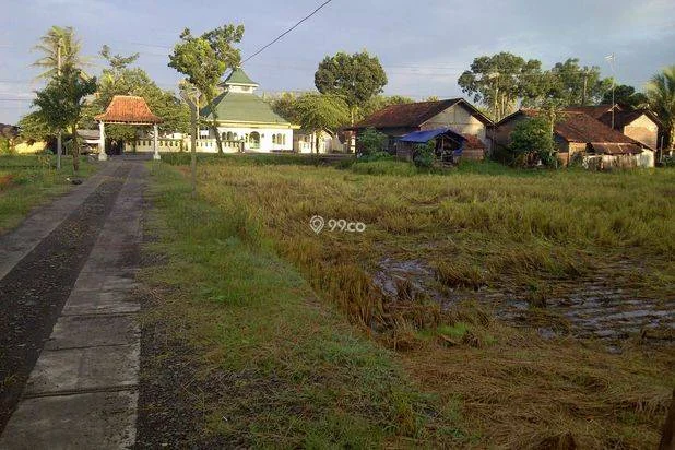 JUAL TANAH STRATEGIS – PURWOREJO JL Raya Purworejo - Wates Yogyakarta. JUAL TANAH STRATEGIS – PURWOREJO JL Raya Purworejo - Wates Yogyakarta.