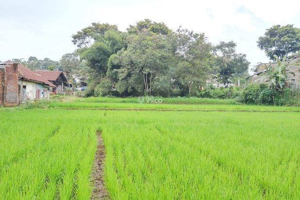 Tanah SHM 2.597m² Pinggir Jalan Raya Ciawi Tasikmalaya – Lokasi Strategis Serba Bisa Tanah SHM 2.597m² Pinggir Jalan Raya Ciawi Tasikmalaya – Lokasi Strategis Serba Bisa