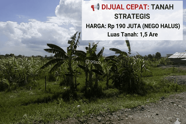 DIJUAL CEPAT TANAH STRATEGIS KOTA MATARAM NTB DIJUAL CEPAT TANAH STRATEGIS KOTA MATARAM NTB