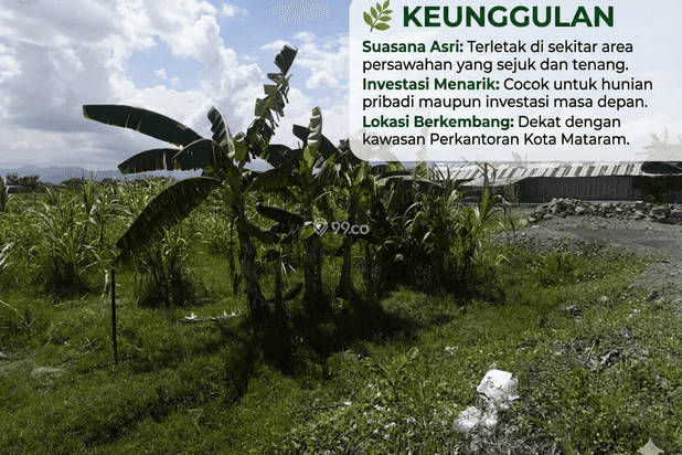 DIJUAL CEPAT TANAH STRATEGIS KOTA MATARAM NTB DIJUAL CEPAT TANAH STRATEGIS KOTA MATARAM NTB
