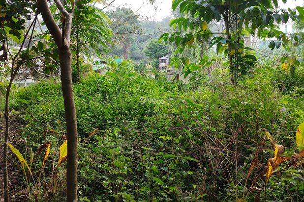 Dijual tanah strategis luas 1660m² depan RSUD Talaga, belakang Toserba Fajar. Dijual tanah strategis luas 1660m² depan RSUD Talaga, belakang Toserba Fajar.