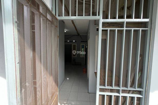 Grey Kost Kukusan Grey Kost Kukusan