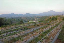 Tanah di Lembang Bandung Dijual, Luas Tanah 644m², Bisa Nego Tanah di Lembang Bandung Dijual, Luas Tanah 644m², Bisa Nego