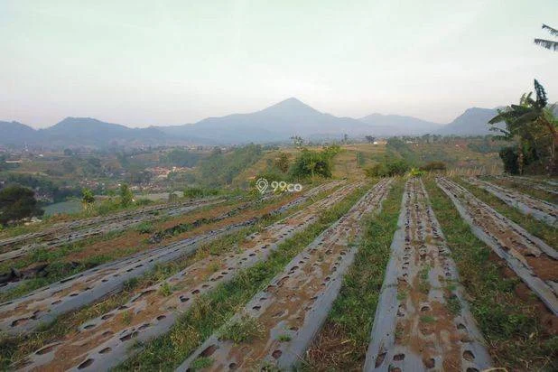Tanah di Lembang Bandung Dijual, Luas Tanah 644m², Bisa Nego Tanah di Lembang Bandung Dijual, Luas Tanah 644m², Bisa Nego