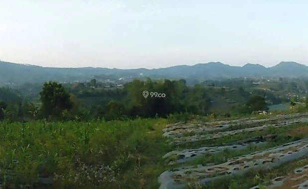 Tanah di Lembang Bandung Dijual, Luas Tanah 644m², Bisa Nego Tanah di Lembang Bandung Dijual, Luas Tanah 644m², Bisa Nego