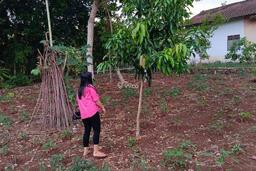Dijual tanah ukuran 20x20m lokasi didesa waymili gang 1 timur Dijual tanah ukuran 20x20m lokasi didesa waymili gang 1 timur
