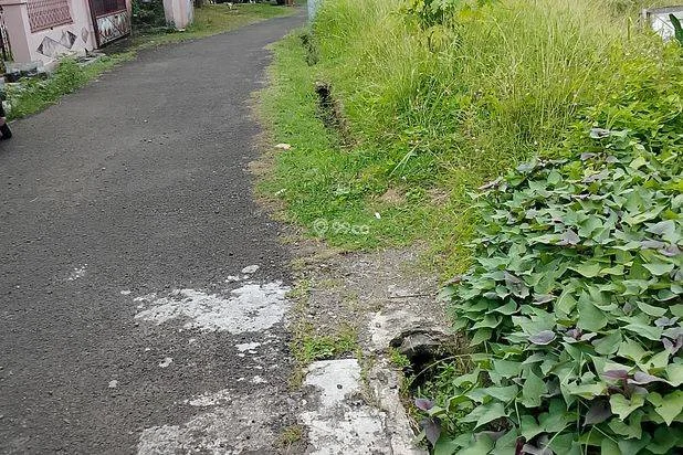 Dijual butuh Dijual butuh