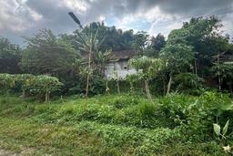Tanah Bintoro Jember Tanah Bintoro Jember