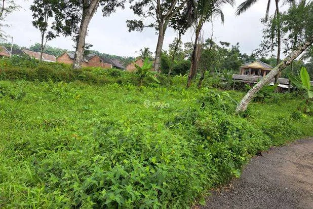 Dijual Tanah Residensial Strategis untuk Usaha 2km dari Exit Tol Cimalaka Dijual Tanah Residensial Strategis untuk Usaha 2km dari Exit Tol Cimalaka