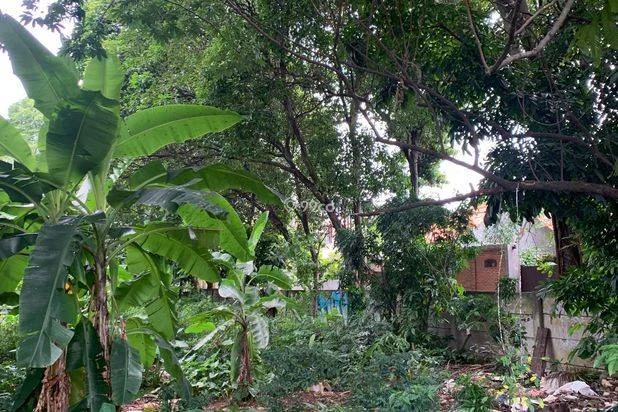 Tanah di jalan Deplu 1 Jakarta Selatan Bintaro Tanah di jalan Deplu 1 Jakarta Selatan Bintaro
