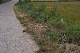 Dijual Murah Tanah Padat Strategis Di Pinggir Jalan Raya Provinsi Di Cariu Jonggol Kab. Bogor. Dijual Murah Tanah Padat Strategis Di Pinggir Jalan Raya Provinsi Di Cariu Jonggol Kab. Bogor.