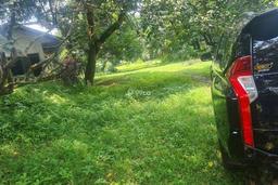 Dijual Tanah Strategis, Padat Siap Bangun Harga Menarik & Bersaing Persis Di Pinggir Jl. Ry. Alternatif Cibubur. Dijual Tanah Strategis, Padat Siap Bangun Harga Menarik & Bersaing Persis Di Pinggir Jl. Ry. Alternatif Cibubur.
