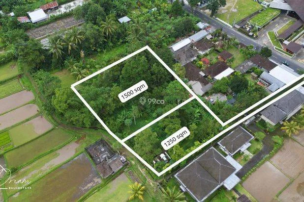 Lahan Strategis Padat Siap Bangun di Luwus Arah Baturiti Bedugul Bali. Lahan Strategis Padat Siap Bangun di Luwus Arah Baturiti Bedugul Bali.