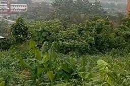 Tanah Dijual Harga Menarik Di Lebak Bulus Tanah Dijual Harga Menarik Di Lebak Bulus