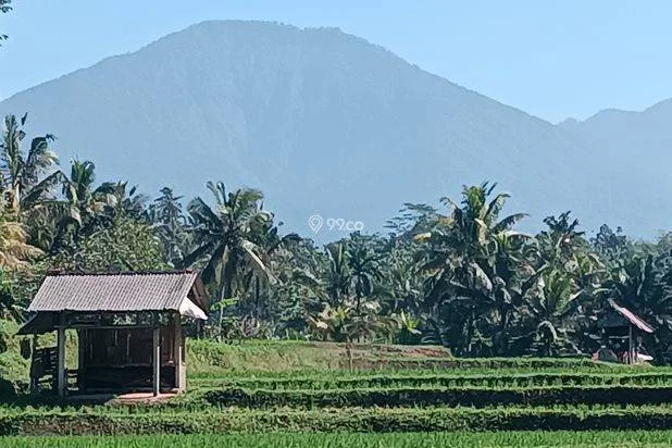 Sawah Produktif view gunung, sawah terasering dan loss sungai di Kelembang Rejasa Penebel Tabanan Sawah Produktif view gunung, sawah terasering dan loss sungai di Kelembang Rejasa Penebel Tabanan