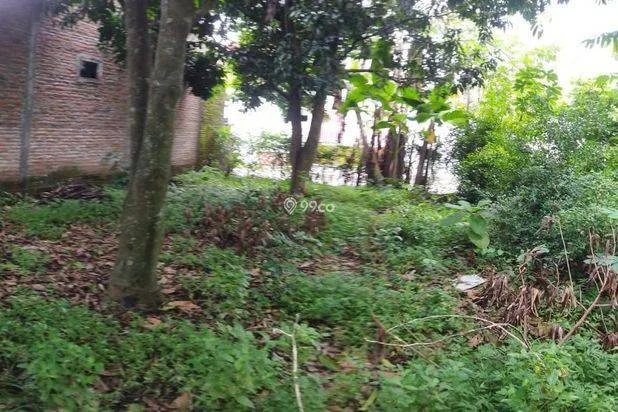 JUAL TANAH / KEBUN JUAL TANAH / KEBUN