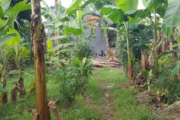 DIJUAL TANAH KAVLING STRATEGIS SHM – PAMULANG DIJUAL TANAH KAVLING STRATEGIS SHM – PAMULANG