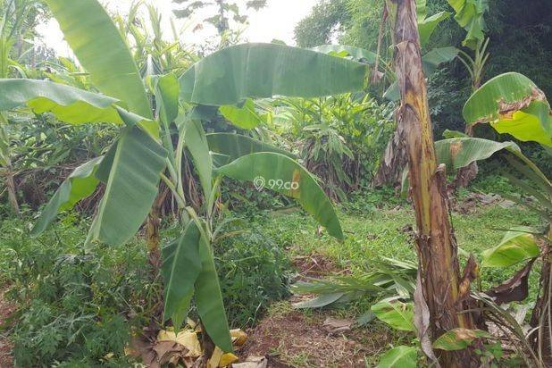 DIJUAL TANAH KAVLING STRATEGIS SHM – PAMULANG DIJUAL TANAH KAVLING STRATEGIS SHM – PAMULANG