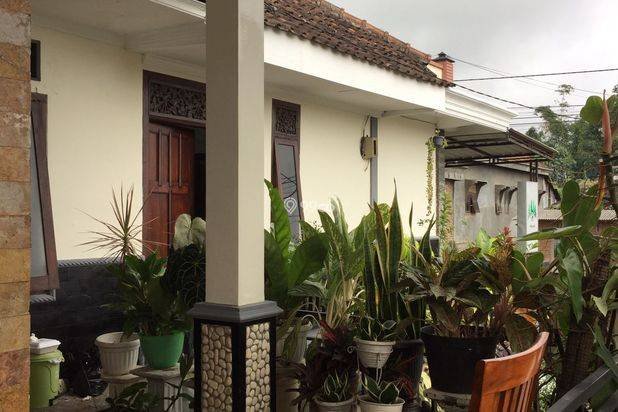 RUMAH BAGUS HARGA BAIK DI ORO ORO OMBO KOTA BATU. RUMAH BAGUS HARGA BAIK DI ORO ORO OMBO KOTA BATU.