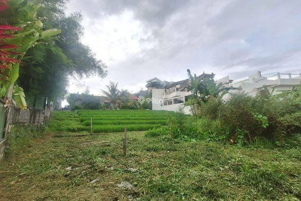 Tanah Disewakan 700 m² di Kawasan Villa Berkembang Badung Bali Tanah Disewakan 700 m² di Kawasan Villa Berkembang Badung Bali
