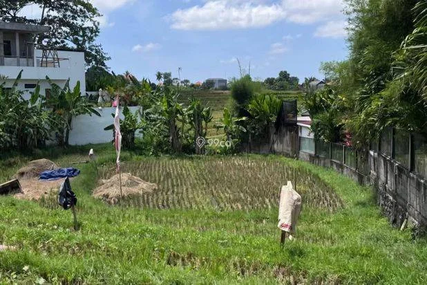 Tanah Disewakan 700 m² di Kawasan Villa Berkembang Badung Bali Tanah Disewakan 700 m² di Kawasan Villa Berkembang Badung Bali