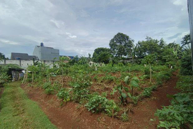 Jual tanah darat di Pamulang Jual tanah darat di Pamulang