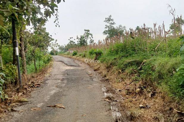 Bu tanah dijual lokasi strategis, bisnis masa depan bisa nego Bu tanah dijual lokasi strategis, bisnis masa depan bisa nego