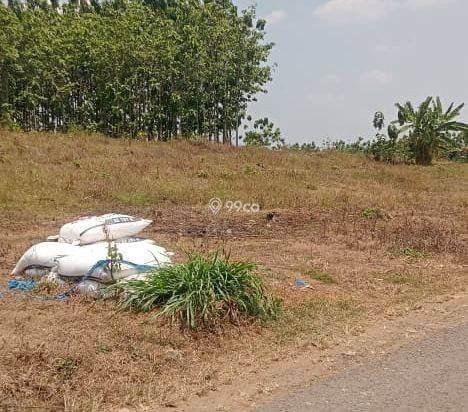 Bu tanah dijual lokasi strategis, bisnis masa depan bisa nego Bu tanah dijual lokasi strategis, bisnis masa depan bisa nego