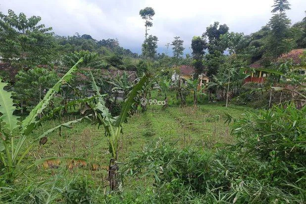 Tanah Kebun Lokasi Arjasari, Luas Tanah 2345m², Cocok Untuk Investasi Tanah Kebun Lokasi Arjasari, Luas Tanah 2345m², Cocok Untuk Investasi