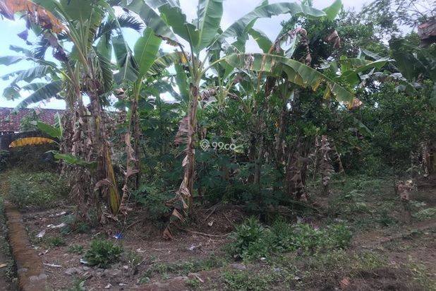 Selangkah Jl. Pandanaran, Dijual Tanah Jogja Cocok Kos Selangkah Jl. Pandanaran, Dijual Tanah Jogja Cocok Kos