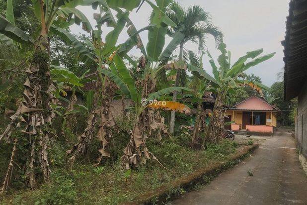 Selangkah Jl. Pandanaran, Dijual Tanah Jogja Cocok Kos Selangkah Jl. Pandanaran, Dijual Tanah Jogja Cocok Kos