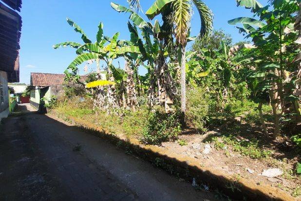 Selangkah Jl. Pandanaran, Dijual Tanah Jogja Cocok Kos Selangkah Jl. Pandanaran, Dijual Tanah Jogja Cocok Kos