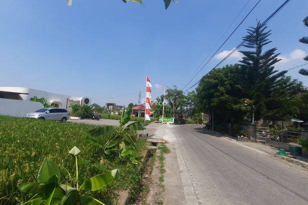 View Sawah, Tanah Dijual Condongcatur Jogja Dekat Kampus UGM, UNY, UPN View Sawah, Tanah Dijual Condongcatur Jogja Dekat Kampus UGM, UNY, UPN