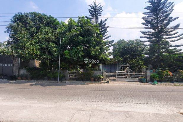 View Sawah, Tanah Dijual Condongcatur Jogja Dekat Kampus UGM, UNY, UPN View Sawah, Tanah Dijual Condongcatur Jogja Dekat Kampus UGM, UNY, UPN