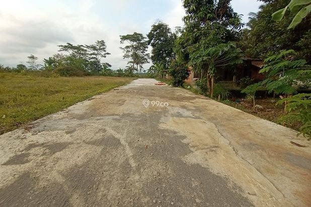 Pekarangan HOOK Wates, Dekat Bandara YIA; SHM-P Pekarangan HOOK Wates, Dekat Bandara YIA; SHM-P