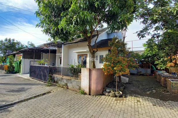 Rumah Disewakan/Kontrak di Kota Yogyakarta (Dekat Wirobrajan/Pusat Kota) Rumah Disewakan/Kontrak di Kota Yogyakarta (Dekat Wirobrajan/Pusat Kota)
