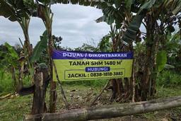 Dijual Cepat Tanah di Jalan Raya Puspitek Dijual Cepat Tanah di Jalan Raya Puspitek