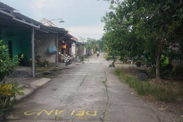 Jual rumah pribadi arean kaligunting caruban Jual rumah pribadi arean kaligunting caruban