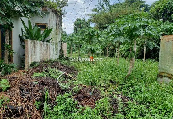 AMS-070.RGL | Jual Tanah Kavling Murah dalam Perumahan Exclusive di Kota Tabanan AMS-070.RGL | Jual Tanah Kavling Murah dalam Perumahan Exclusive di Kota Tabanan