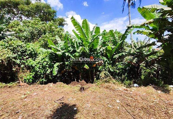 AMS-033.BL | Jual Global Tanah Kavling di Pantai Nyanyi Kediri Tabanan AMS-033.BL | Jual Global Tanah Kavling di Pantai Nyanyi Kediri Tabanan