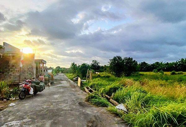 LSH-015.DAU | Sewa 20Th Tanah Kavling View Sawah Lokasi Strategis di Jl Sedap Malam Denpasar LSH-015.DAU | Sewa 20Th Tanah Kavling View Sawah Lokasi Strategis di Jl Sedap Malam Denpasar