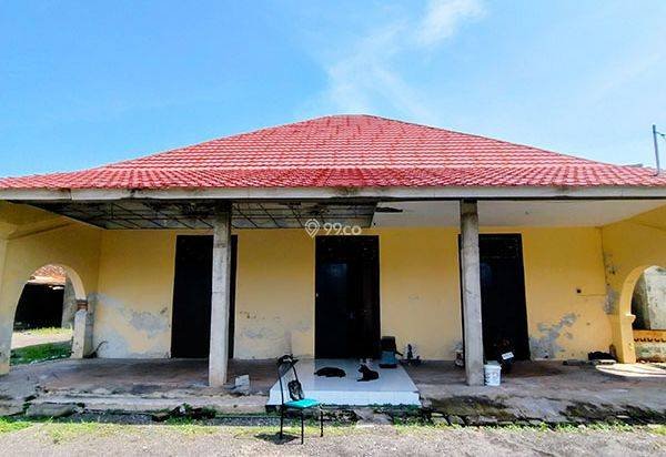 Disewakan Gudang halaman luas 15 are di Jalan Pulau Riau Kampung Baru Singaraja Disewakan Gudang halaman luas 15 are di Jalan Pulau Riau Kampung Baru Singaraja