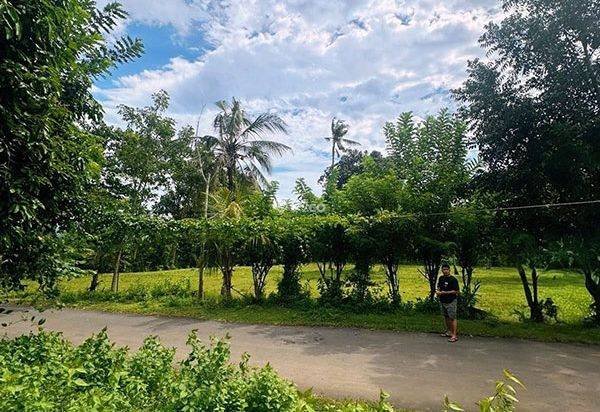 AMS-018.DKA 🏝️ Tanah Premium Dijual Dekat Virgin Beach Bukit Asah Karangasem – Akses Langsung Pantai AMS-018.DKA 🏝️ Tanah Premium Dijual Dekat Virgin Beach Bukit Asah Karangasem – Akses Langsung Pantai
