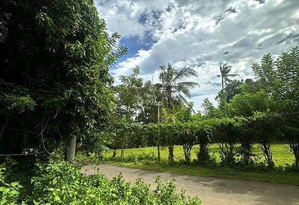 AMS-018.DKA 🏝️ Tanah Premium Dijual Dekat Virgin Beach Bukit Asah Karangasem – Akses Langsung Pantai AMS-018.DKA 🏝️ Tanah Premium Dijual Dekat Virgin Beach Bukit Asah Karangasem – Akses Langsung Pantai