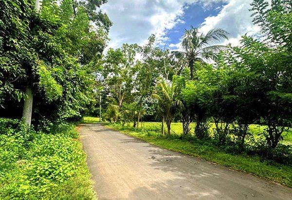 AMS-018.DKA 🏝️ Tanah Premium Dijual Dekat Virgin Beach Bukit Asah Karangasem – Akses Langsung Pantai AMS-018.DKA 🏝️ Tanah Premium Dijual Dekat Virgin Beach Bukit Asah Karangasem – Akses Langsung Pantai