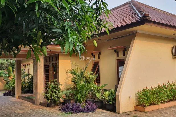 DIJUAL TANAH SELUAS 1.600m DAN RUMAH 400m NEGO LANGSUNG PEMILIK DIJUAL TANAH SELUAS 1.600m DAN RUMAH 400m NEGO LANGSUNG PEMILIK