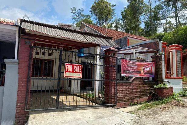 Citra Graha Handayani Citra Graha Handayani