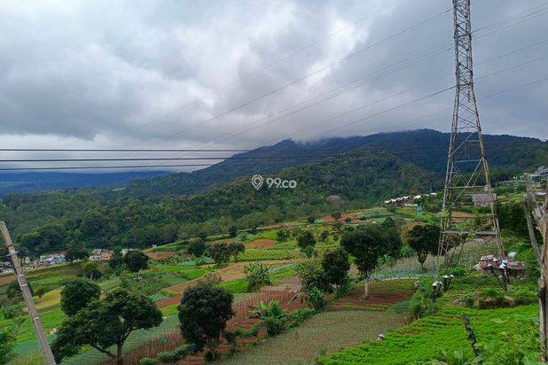 Dijual tanah puncak Ciloto Dijual tanah puncak Ciloto